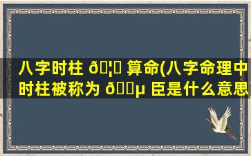 八字时柱 🦊 算命(八字命理中时柱被称为 🌵 臣是什么意思)